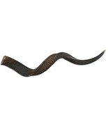 Kudu Horn Large,  40&quot; around curls, great kudu horn, 1 Real Kudu Horn fo... - $120.50 CAD
