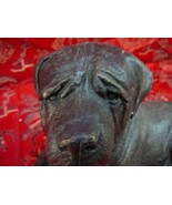 (bz-20) Rottweiler puppy dog Rottie bronze sculpture statue figurine cas... - £96.03 GBP