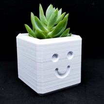 The Happy Planter Pot Hand-Made Succulent Flowers Honey Decoration 3D Printed 12 - £7.11 GBP