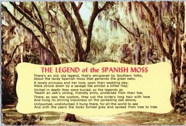 The Legend of the Spanish Moss Mississippi Postcard - £7.87 GBP