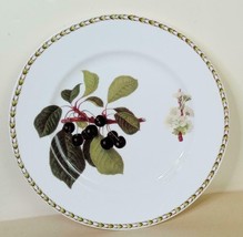 Vintage Queen&#39;s Horticultural Socity Art by Hooker Dinner Plate Cherry 10 3/4&quot; - £10.90 GBP