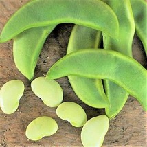 US Seller Henderson Lima Bean Baby Butter Beans Green Fava Pea Vegetable New Fre - $7.90