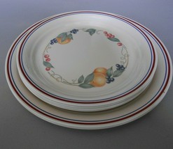  6 Corelle/Corning-Abundance -Two 10.25&quot; Dinner Plates &amp; Four 8.50&quot; Salad Plates - $31.50