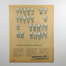 Vtg Crest Toothpaste Fighting Cavities Harold Wilson Book Print Ad 10x13 - £10.68 GBP