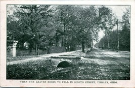 Vtg Postcard - When the Leaves Begin To Fall in Scioto Street Urbana Ohio OH UNP - £7.07 GBP