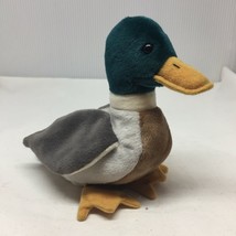 Ty Beanie Baby Jake Duck Mallard Drake Plush Stuffed Animal W Tag April ... - $19.99