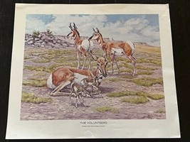 Ben Cooper Western Art Cowboy Animal Print Decor 14X11 Volunteers Antelo... - £15.45 GBP