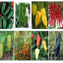 Fast Ship USA Seller 500 Seeds 12 Kinds Of Hot Pepper Seeds These Are Mixed Toge - $21.40