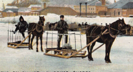 Horses Pull SLEDS-WINTER Scene On The St Lawrence Quebec Canada 1908 Postcard - £8.02 GBP