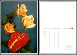 Flower / Floral Postcard - Yellow Roses &amp; ? DZ1 - £2.52 GBP