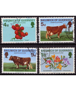 ZAYIX Guernsey 33-36 Used Farm Animals Plants Food Agriculture 021423S95 - £3.71 GBP