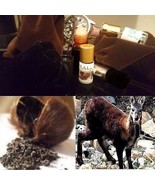 Authentic (Wild Central Asian Kasturi) Real Deer Musk Pheromones Attar O... - £36.13 GBP+