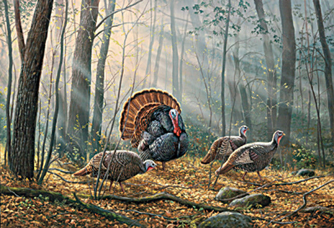 Woodland Wild Turkey Cross Stitch Pattern***L@@K*** - $2.95
