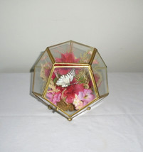 Terrarium Glass and Brass Dried Flowers Butterfly Vintage 12 Sided 1970s - $29.70