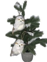 2021 Wondershop Ornaments Lot Of 2 Owls NEW - $21.55