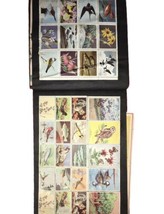 1940’s Wildlife Conservation Stamp Collection - $15.80