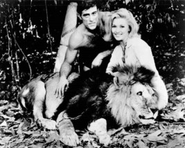 Tarzan and the Valley of Gold 1966 Mike Henry Nancy Kovack with lion 8x10 photo - £8.67 GBP