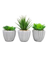 Set Of 3 Realistic Artificial Botanica Fern Succulents Plant In Grey Cem... - £28.41 GBP