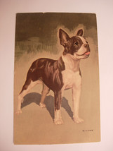 Vintage Victorian Color Postcard Boston Terrier Artist Signed D Carr uncirculate - £38.54 GBP