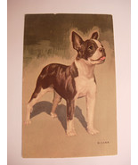 Vintage Victorian Color Postcard Boston Terrier Artist Signed D Carr unc... - £39.16 GBP