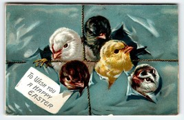 Easter Postcard Baby Chicks Heads Pop Out Of Package Series 700 Tuck 1909 - £7.84 GBP
