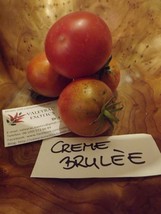 Creme Brulee Tomato - SWEET and FINE 5+ seeds - P 058 - £1.16 GBP