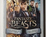 Fantastic Beasts: 2-Film Collection (DVD, 2019) - £7.22 GBP