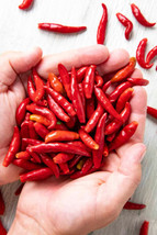 25 Seeds Chile De Árbol Pepper Vegetables Planting Edible Food Usa Seller - £7.15 GBP