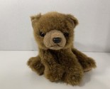 Ty Classics Forest brown bear baby plush teddy beanie beanbag 1997 vintage - £3.90 GBP