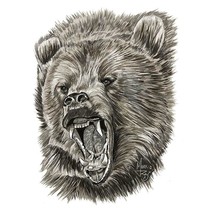 Item image 1 image 1