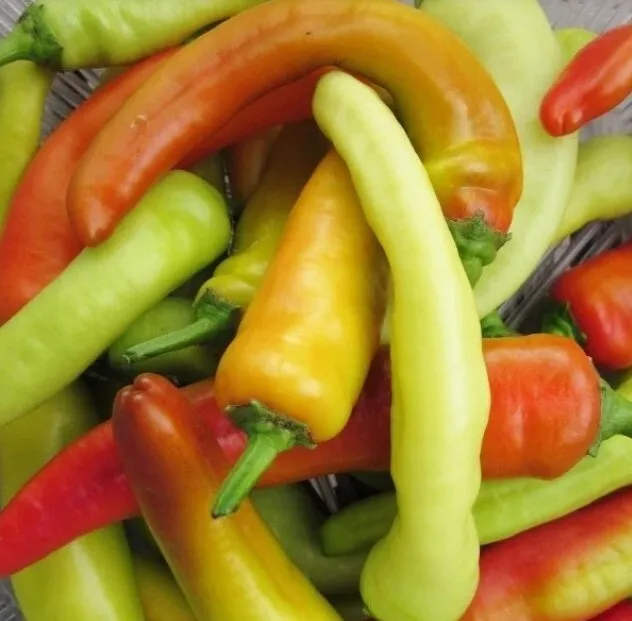 Hungarian Pepper Banana Non Gmo 400 Seeds  - £7.56 GBP