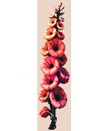 August Gladiolus and Poppy Bookmark Cross Stitch Pattern | Digital PDF - $3.99
