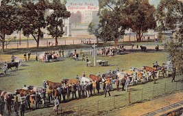 Buenos Aires Argentina~Agricultural Exposition RURAL~1908 Pstmk Postcard - $13.17