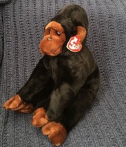 Ty Beanie Buddy Congo the Gorilla 1999 Ape Monkey Plush Stuffed Animal MWMT 12" - £12.57 GBP