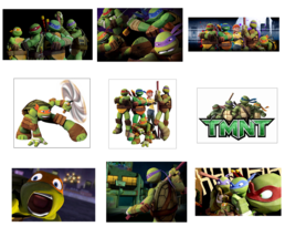 9 TMNT Stickers, Party Supplies, Teenage Mutant Ninja Turtles, Favors, L... - £9.58 GBP