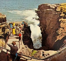 1970s Postcard Thunder Hole Acadia Mt Desert Island Maine Unposted Vinta... - $19.99
