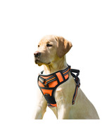 GOOPAWS Padded Reflective Dog Harness, Easy Control Lightweight Dog Harness - $531.24 MXN