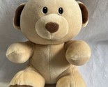 Baby ty Bundles The Bear 8” RARE Made Especially For Baby lovey plush so... - $28.66
