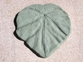 18" Tropical Garden Leaf Stepping Stone Mold - Make for about $1.00 each  image 4