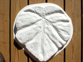 18" Tropical Garden Leaf Stepping Stone Mold - Make for about $1.00 each  image 5