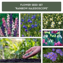 Rainbow Kaleidoscope Flower Seed Set - Vibrant Garden Blooms, Perfect for Creati - £13.32 GBP