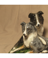 Border Collie Lovers - $1,900.68 MXN