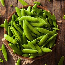 Best Seeds Sugar Snap Organic Pea Seeds Sugar Snap Peas Pisum Sativum Organic Ve - £9.62 GBP