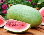 Charleston Gray 133 Watermelon 25 Seeds Shipped With First Class - £7.22 GBP