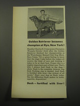 1951 Armour Dash Dog Food Ad - Golden Retriever becomes champion - £14.78 GBP
