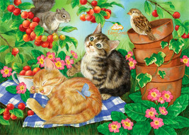In summer garden Cats Art Kitty Kitten Postcard - £4.66 GBP