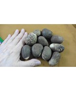 (tn-34) 10 medium natural Tagua Nut whole nuts craft Carving Dried plain... - $39.62 CAD