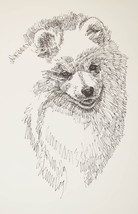 American Eskimo Dog Breed Print #149 Kline Magic Art Drawn From Words Eskie Gift - £37.53 GBP