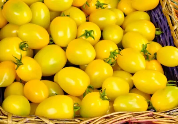 Tomato, Yellow Plum Tomato, 40 Seeds Fresh - $3.98