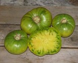 50 Aunt Ruby German Green Tomato Seeds Fast Shipping - $8.99